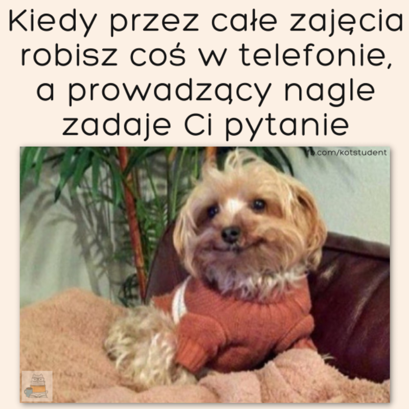 Mem na rozpoczęcie roku akademickiego 