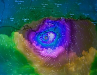Miniatura: QUIZ. Nadajesz się na pogodynkę? Spróbuj...