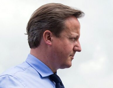 Miniatura: Cameron: Syria to nie Irak