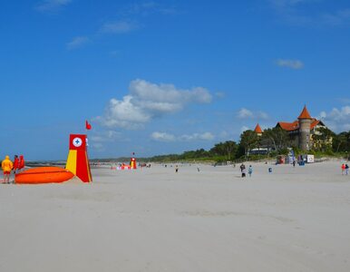 Miniatura: Polacy na plaży w Łebie dali się ponieść...