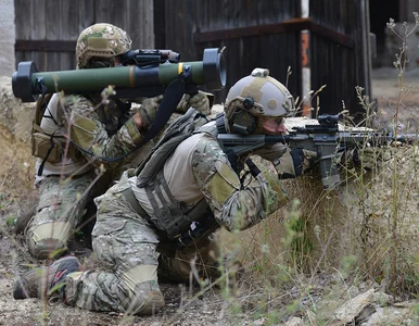 Miniatura: Niemcy sprzedali Ukrainie 5100 sztuk...