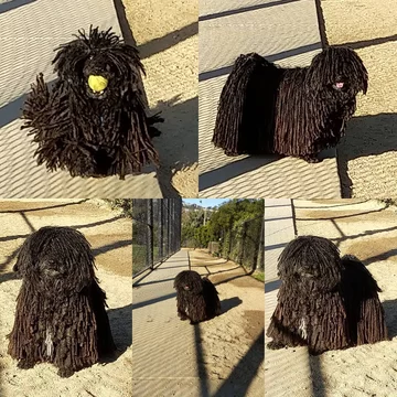 Napoleon, przedstawiciel rasy puli 