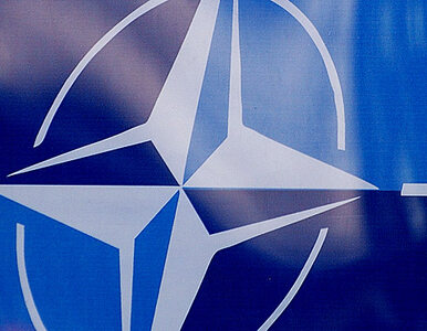 Miniatura: NATO: przetrwamy kryzys