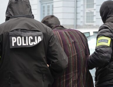 Miniatura: Brudziński zapowiada kontrolę policji w...