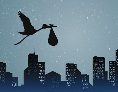 Miniatura: Czwarte dziecko brytyjskiego premiera