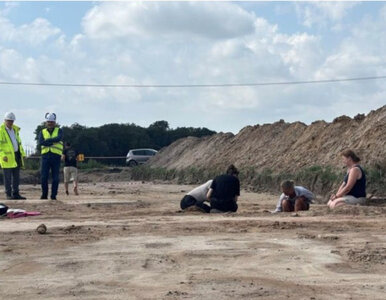 Miniatura: Sensacyjne odkrycie archeologiczne pod...