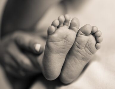 Miniatura: „Najstarsze” dziecko przyszło na świat....