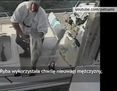 Miniatura: Chciał się pochwalić. Ryba go przechytrzyła