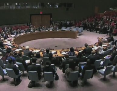 Miniatura: Rada Bezpieczeństwa ONZ "przerywa...