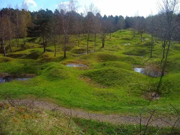 Tak wygląda obecnie miejsce, gdzie toczyła się bitwa pod Verdun 