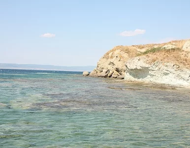 Miniatura: Horror podczas zaręczynowego pikniku na...