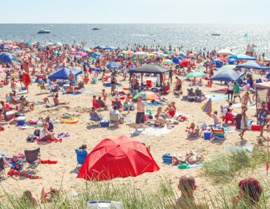 Miniatura: Tak plażują Włosi na popularnej wyspie....