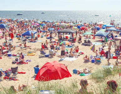 Miniatura: Tak plażują Włosi na popularnej wyspie....