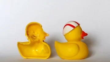 Bakterie i grzyby wewnątrz pływających zabawek 