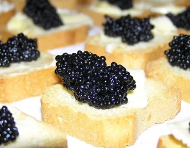 Miniatura: W 86 sekund zjadł kawior wart 16 tysięcy...