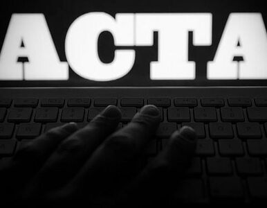 Miniatura: "ACTA nie zmieni nic w polskim internecie"
