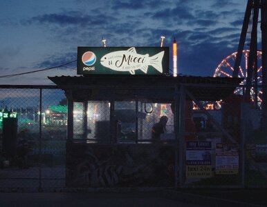 Miniatura: Film Igi Lis zachwycił wszystkich i ma...