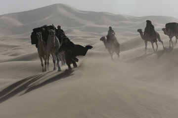 Kr&oacute;lowa Pustyni / Queen of&nbsp;the&nbsp;Desert (2015)