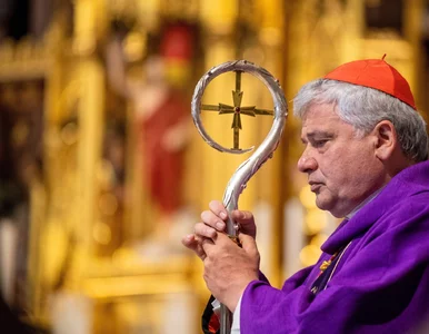 Miniatura: Oto następca kard. Rysia. Papież Leon XIV...