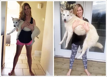 Właściciele pokazują jak urosły ich zwierzęta 