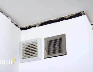 Miniatura: W nowym bloku pękają ściany, zapada się...