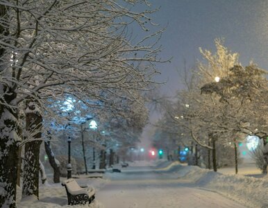 Miniatura: Prognoza na Święta Bożego Narodzenia....