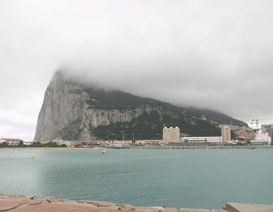 Miniatura: Incydent koło Gibraltaru. Brytyjska flota...