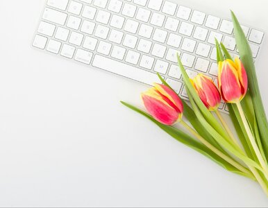 Miniatura: Quiz ortograficzny. U czy ó? Przypomną się...