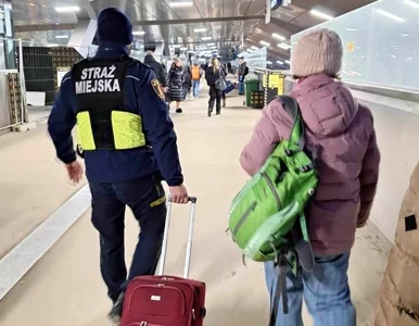 Miniatura: Pracownicy szpitala dostrzegli zagubioną...