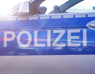 Miniatura: Dantejskie sceny w Saksonii. 24-letni...