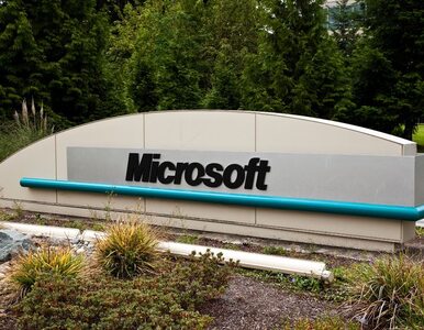 Miniatura: Microsoft zbroi się w patenty za 1 mld dol.