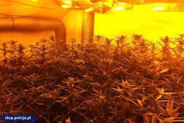 Materiały zabezpieczone przez policję 