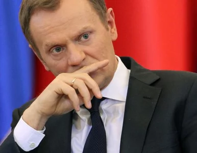 Miniatura: Kwaśniewski o ACTA: Tusk popełnił gruby błąd