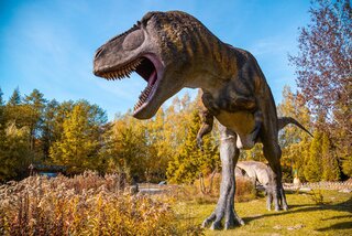 Bałtowski Kompleks Turystyczny