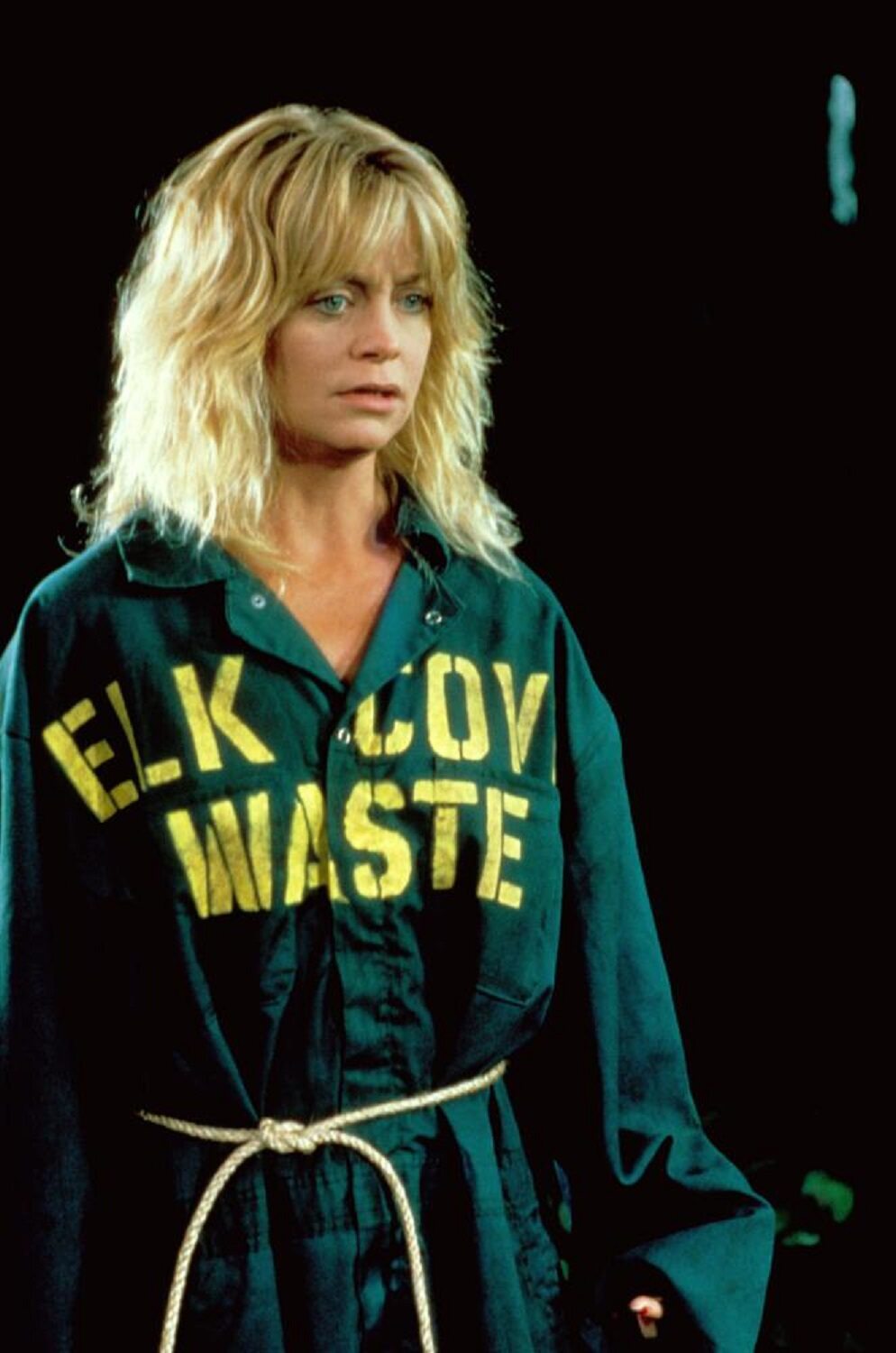 Kto oprócz Goldie Hawn gra w filmie "Dama za burtą"?