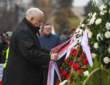 Miniatura: Kara dla Kaczyńskiego? Polacy zabrali głos...