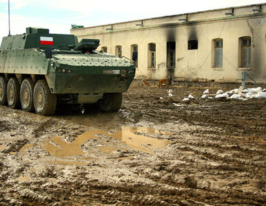 Miniatura: Atak na polski patrol, żołnierze ranni