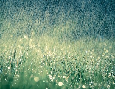 Miniatura: W piątek przelotny deszcz możliwy w całym...