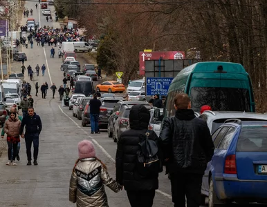 Miniatura: Skąd Ukraińcy sprowadzają używane auta?...