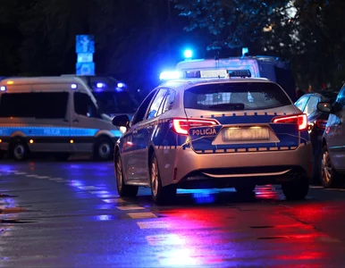 Miniatura: Brutalny atak na nastolatka  w centrum...
