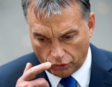 Miniatura: Orban znów wygrywa na Węgrzech