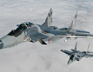Miniatura: Rosyjskie myśliwce naruszyły przestrzeń...