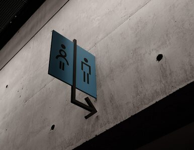 Miniatura: Najpopularniejsza toaleta w Polsce za 430...