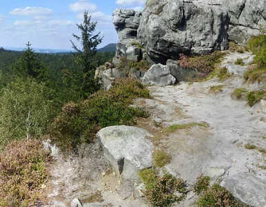 Miniatura: Sprawa morderstwa ciągnie się od 26 lat....