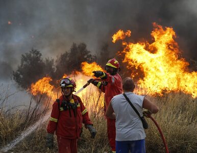 Miniatura: Ogień trawi lasy w pobliżu Aten. Już co...