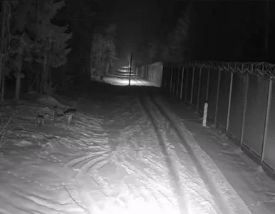 Miniatura: Incydenty przy granicy z Białorusią. Straż...