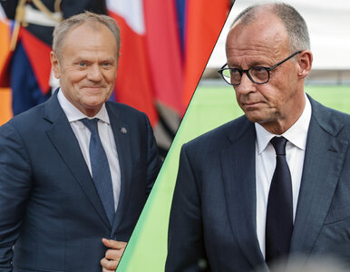 Miniatura: Niemcy nie wezmą udziału w ćwiczeniach w...