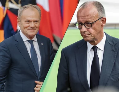 Miniatura: Niemcy nie wezmą udziału w ćwiczeniach w...