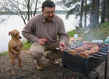 Te psy wyraźnie mają ochotę na jedzenie 