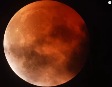 Miniatura: Srebrny Glob na moment zrobił się...